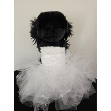 Duchesse des pattes